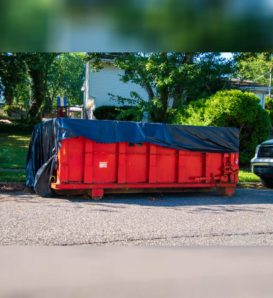 Container Liner